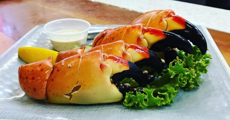 Stone crab season is back, are they worth the hype?