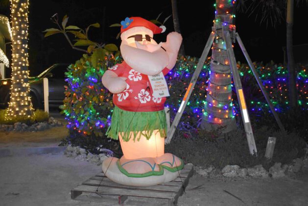 Bright Holiday Lights contestants spread holiday cheer