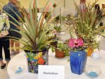 AMI Garden Club hosts Paradise Found flower show