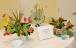 AMI Garden Club hosts Paradise Found flower show