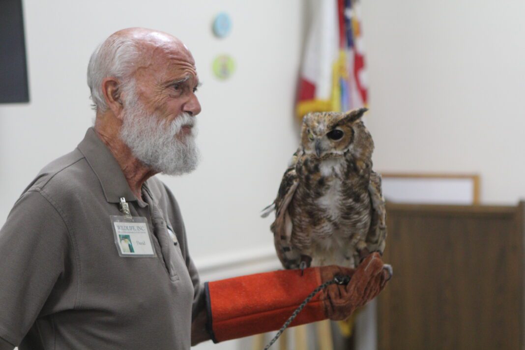 Owl presentation a ‘hoot’ at Island Branch Library