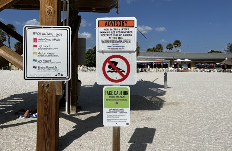 Swimming prohibited at several beaches