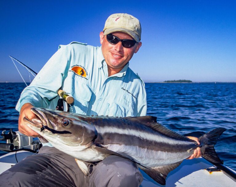 Keep an eye out for cobia