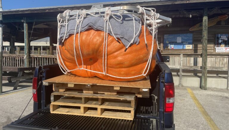 Cortezian breaks state record with backyard pumpkin