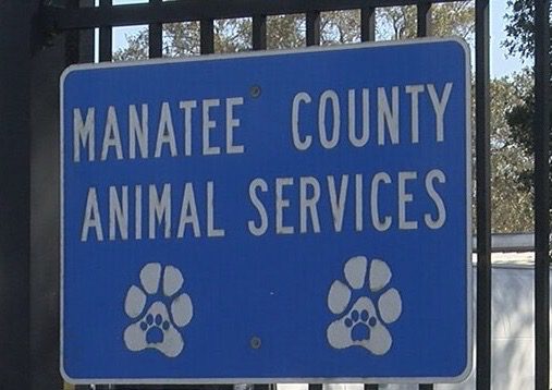 County takes no action against dog owner after multiple attacks