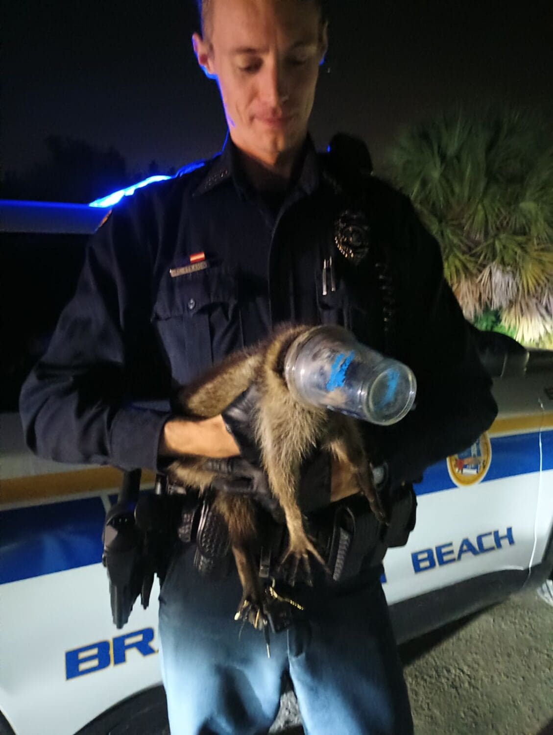 Woman hospitalized following raccoon attack AMI Sun