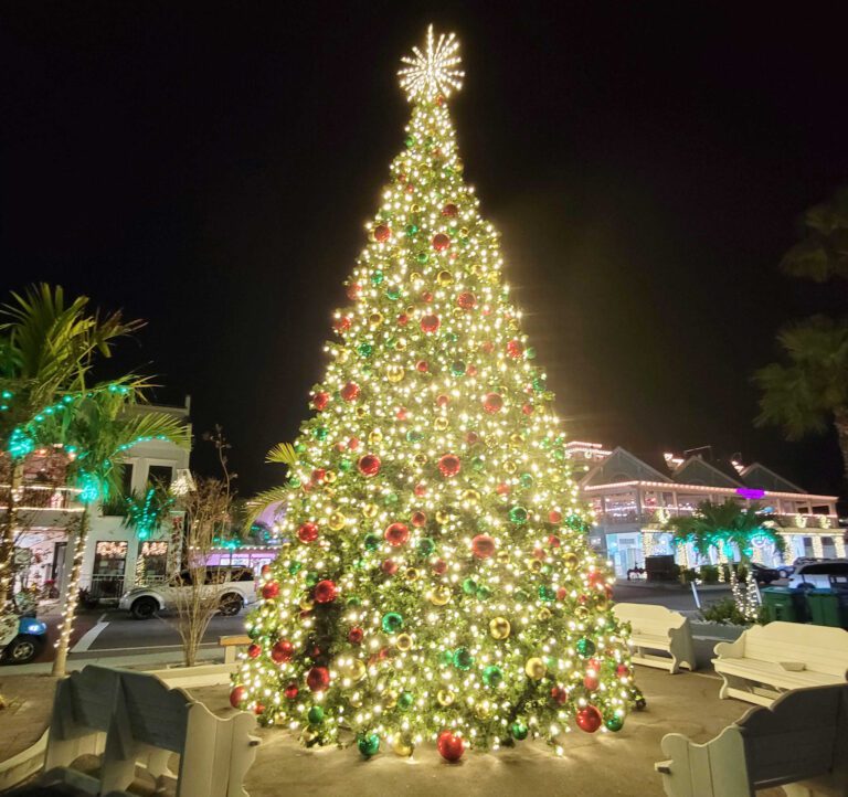 Christmas tree lighting to spark holiday season