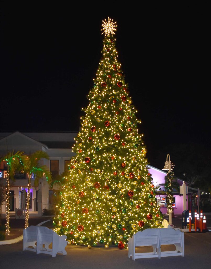 Christmas tree lights up Bridge Street