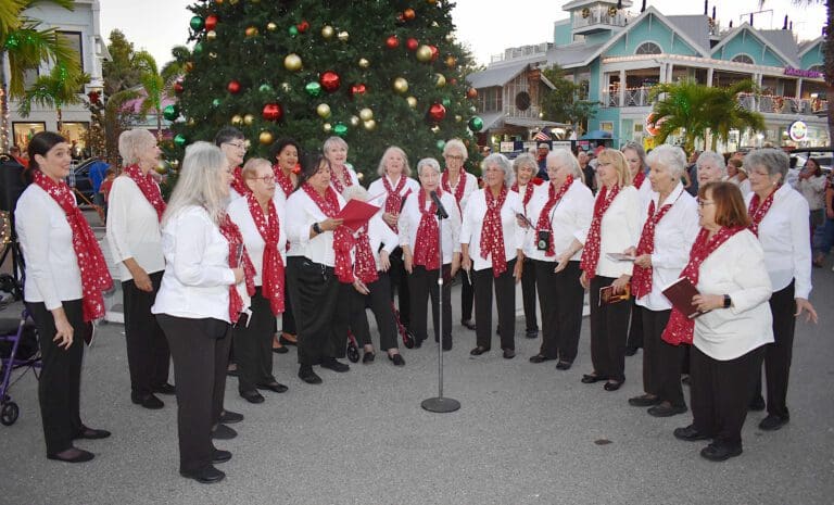 Christmas tree lights up Bridge Street