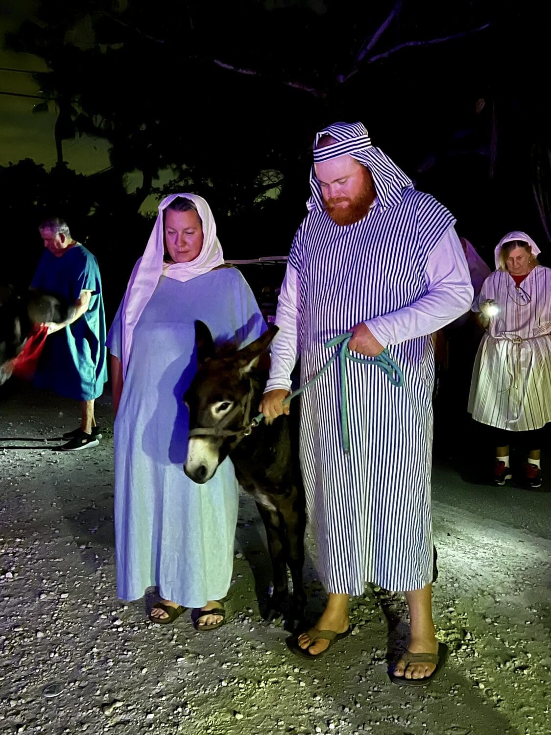 Walking to Bethlehem AMI Sun