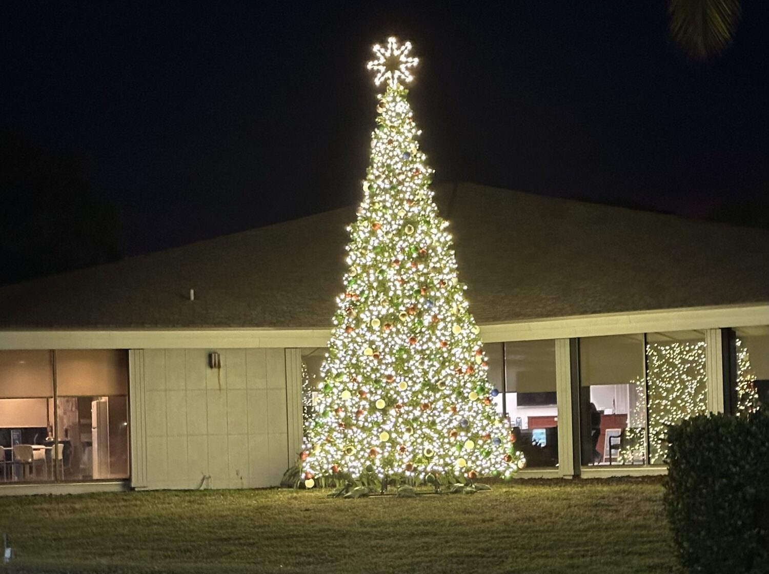 New Christmas tree de-lightful