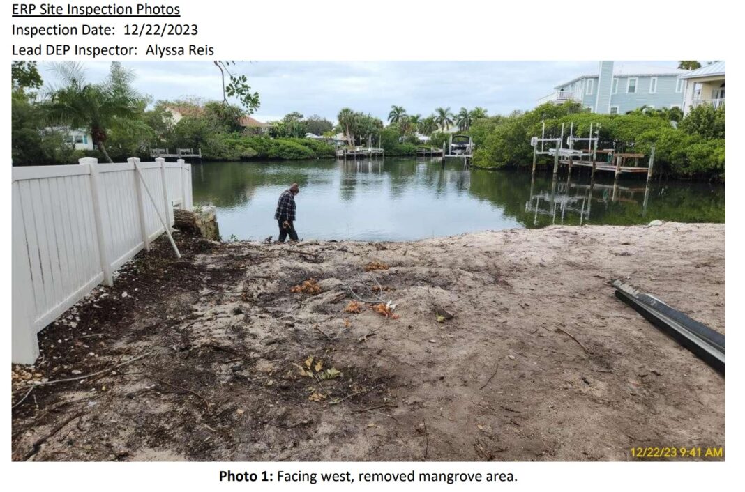 Mangrove removal under Army Corps review