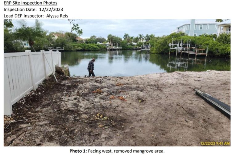 Mangrove removal under Army Corps review