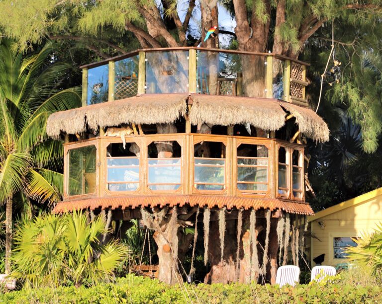 Judge orders demolition of treehouse