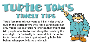 Anna Maria Island Turtle Watch - Turtle Tom's Tips