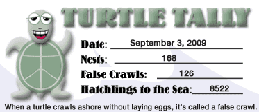 Turtle Tally
