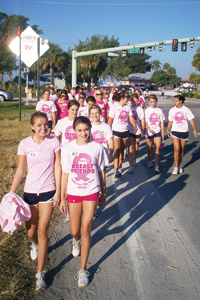 Bayfest band Bootleg