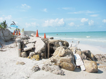 The Anna Maria Island Sun Newspaper | Anna Maria Island News | Local