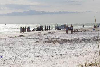 The Anna Maria Island Sun Newspaper | Anna Maria Island News | Local