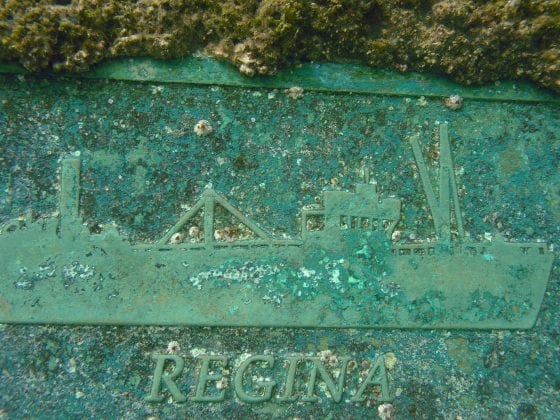 Regina marker