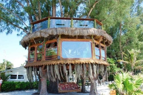 Tree house