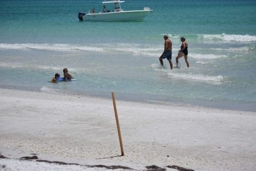 Anna Maria Beach Survey