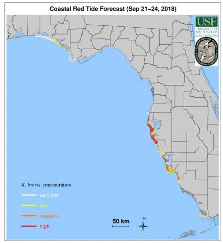 FWC: Red tide up - AMI Sun