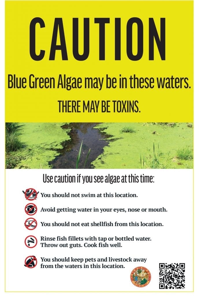 Bluegreen algae warning signs coming AMI Sun