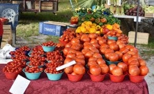 Anna Maria farmers’ market returns