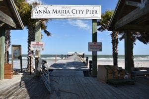 2019: The Year in Review