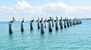 2019: The Year in Review