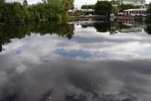 2019: The year in review