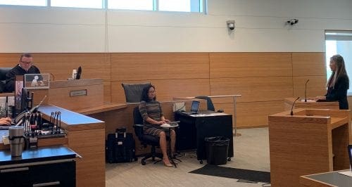 Treehouse owners start new year in court