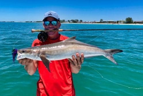 Reel Time: The cobia