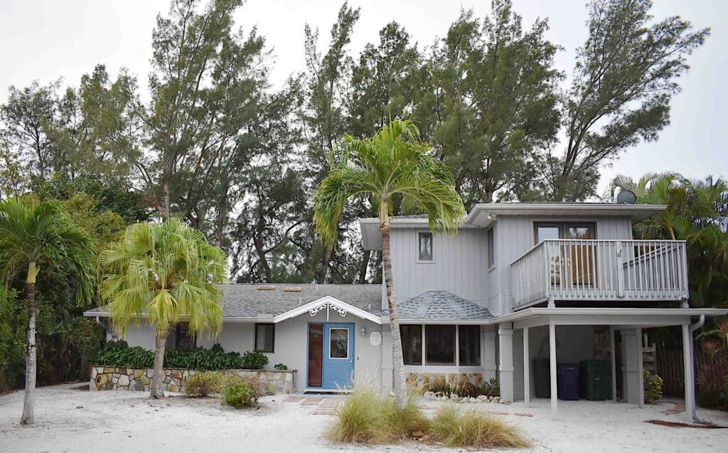 Great blue herons’ nest in jeopardy