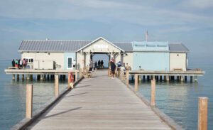 Mote Marine proposes City Pier education and outreach center