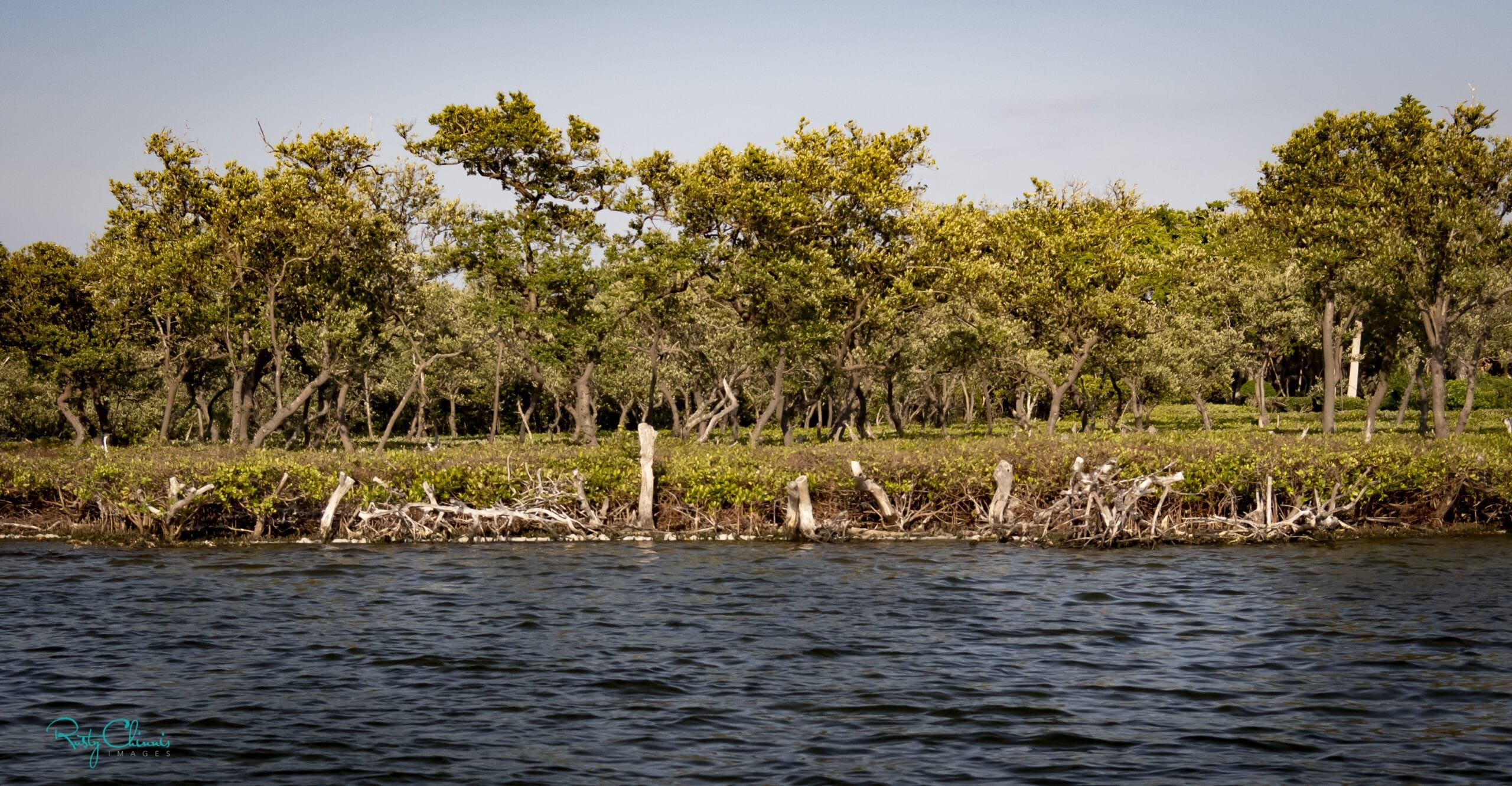 Reel Time: An unfolding tragedy