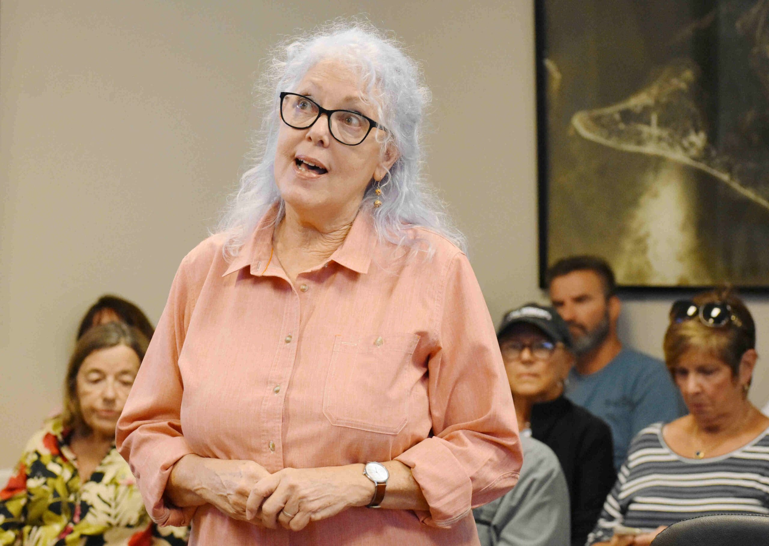 Reimagining Pine Avenue meetings conclude