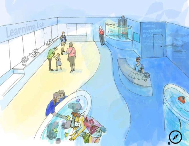 Anna Maria and Mote Marine reach pier lease agreement