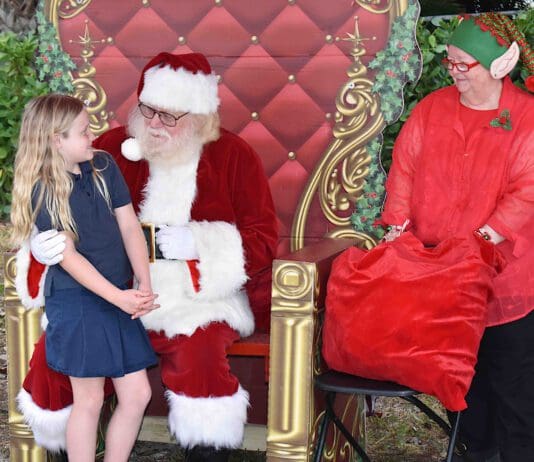 Ami Christmas Parade 2022 Holiday Archives - Ami Sun