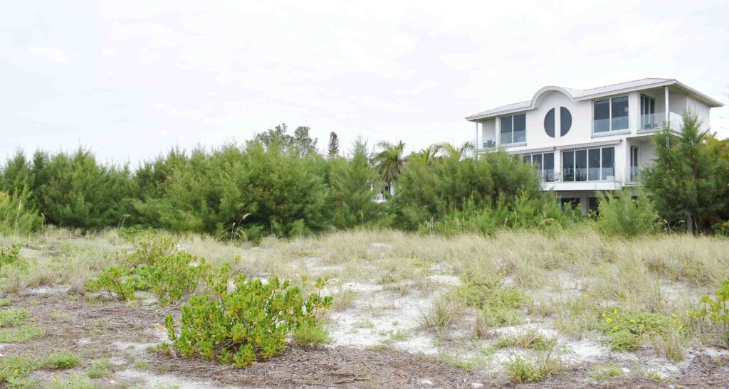 Anna Maria: The Year in Review