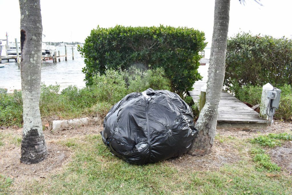 Shoreline project no longer includes concrete wall