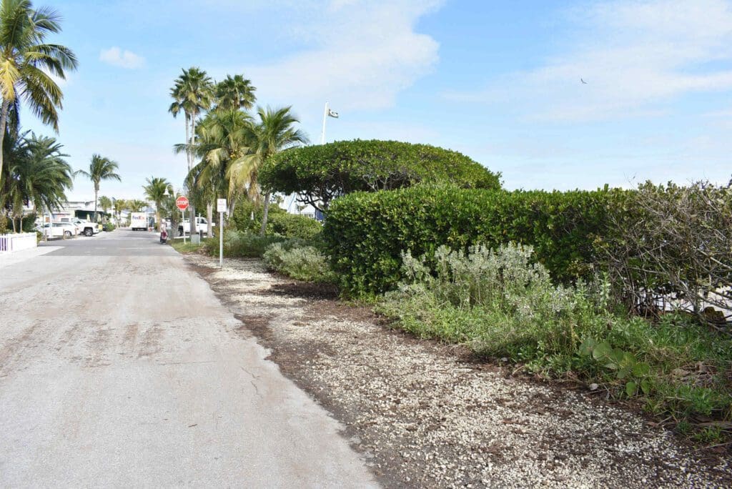 Shoreline project no longer includes concrete wall