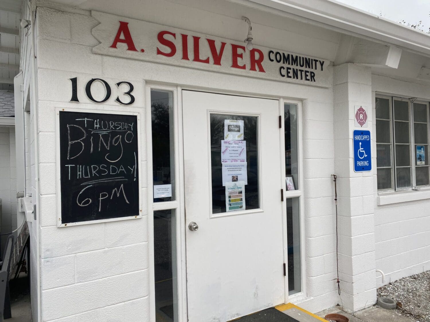 Annie Silver looking at busy spring