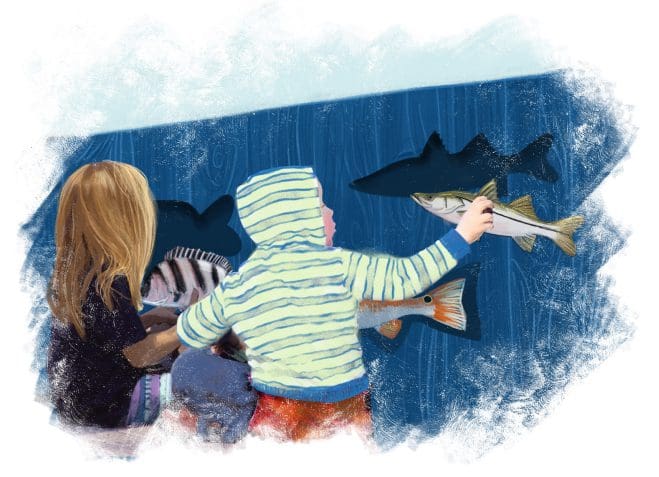 Mote given 2023 deadline to complete City Pier facility