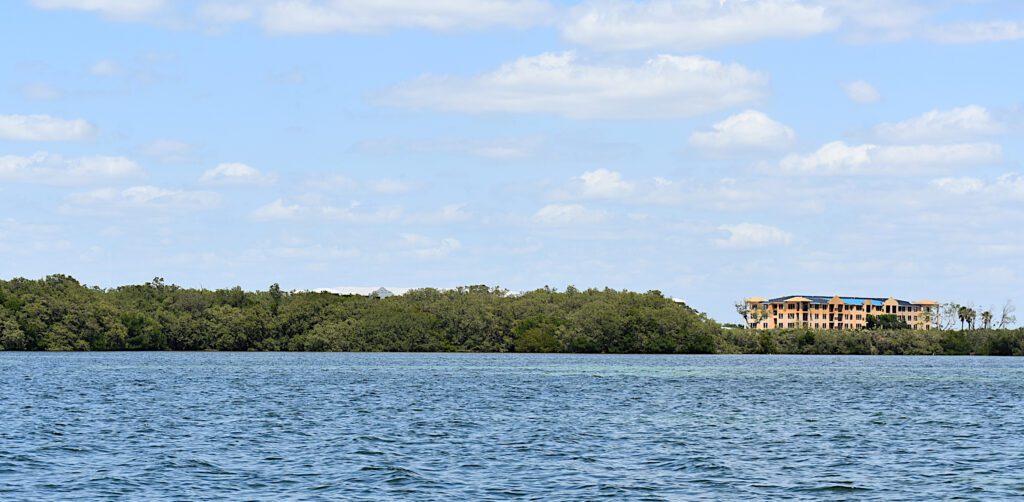 FDEP investigating Aqua’s mangrove trimming