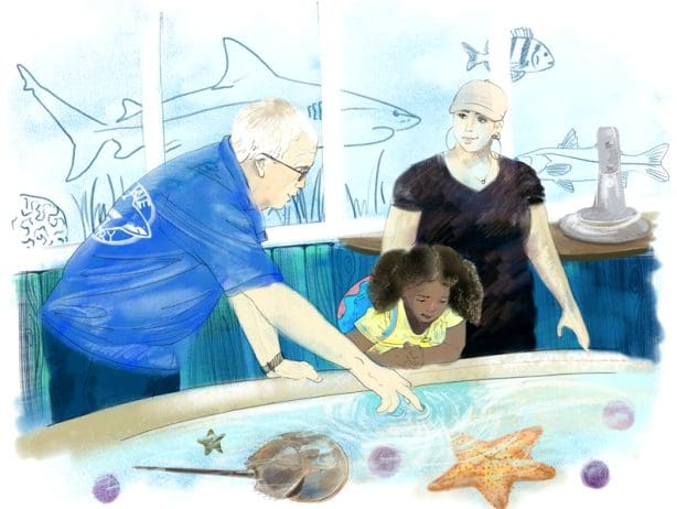 Commission formally extends Mote Marine deadlines