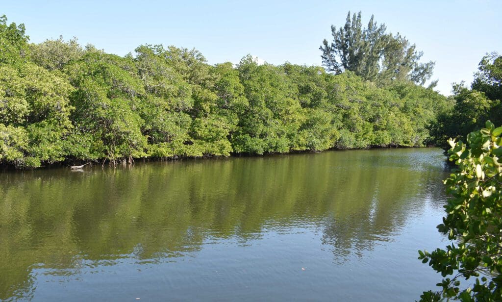 Hunters Point developer files lawsuit against Cortez Village Marina