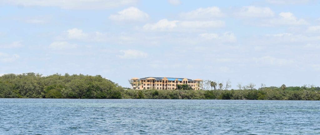 FDEP inspects Aqua’s mangrove trimming, results remain unknown