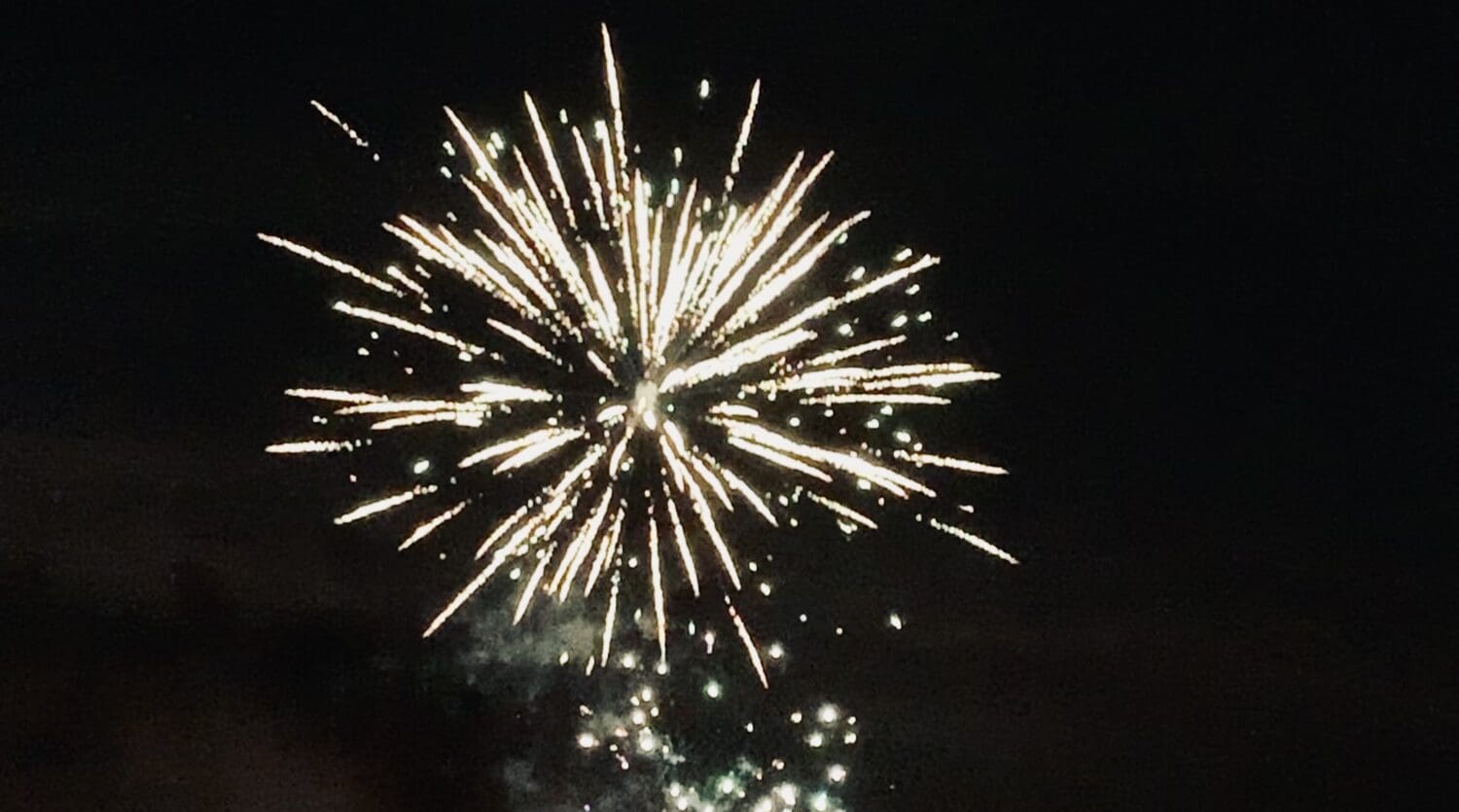 Celebrate Independence Day safely